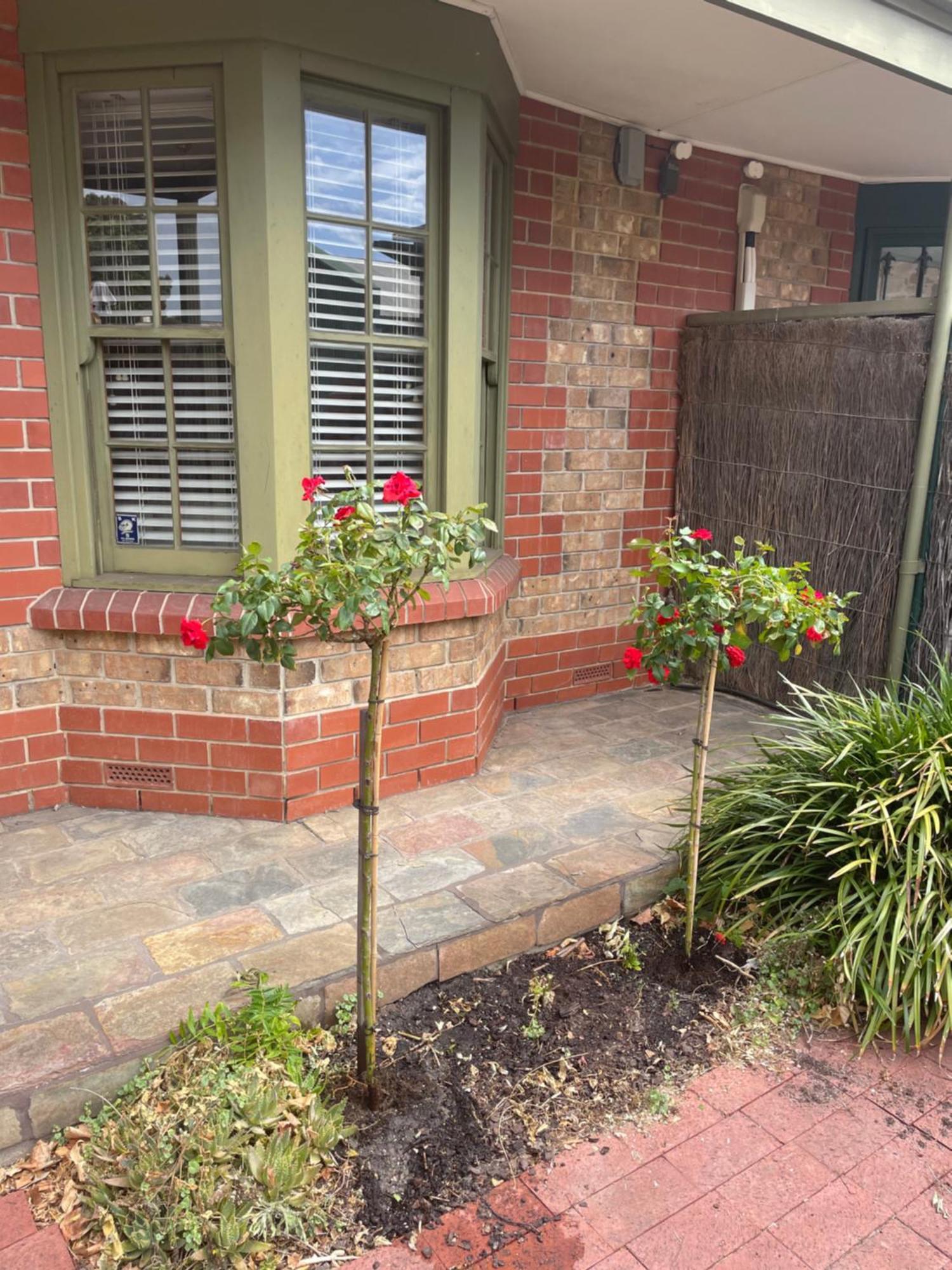 Adelaide Style Accommodation-Getaway In North Adelaide- Close To City Dış mekan fotoğraf