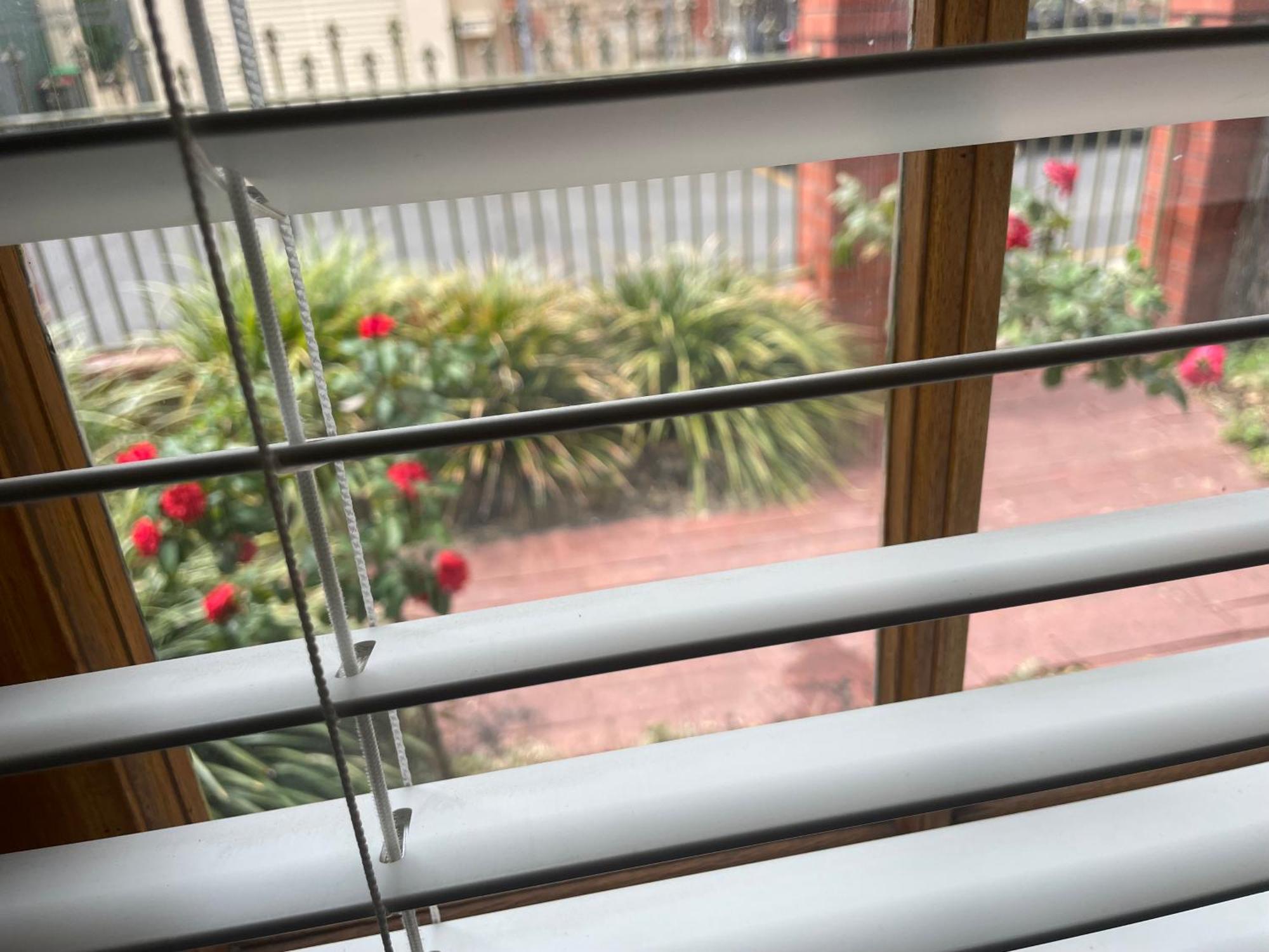 Adelaide Style Accommodation-Getaway In North Adelaide- Close To City Dış mekan fotoğraf
